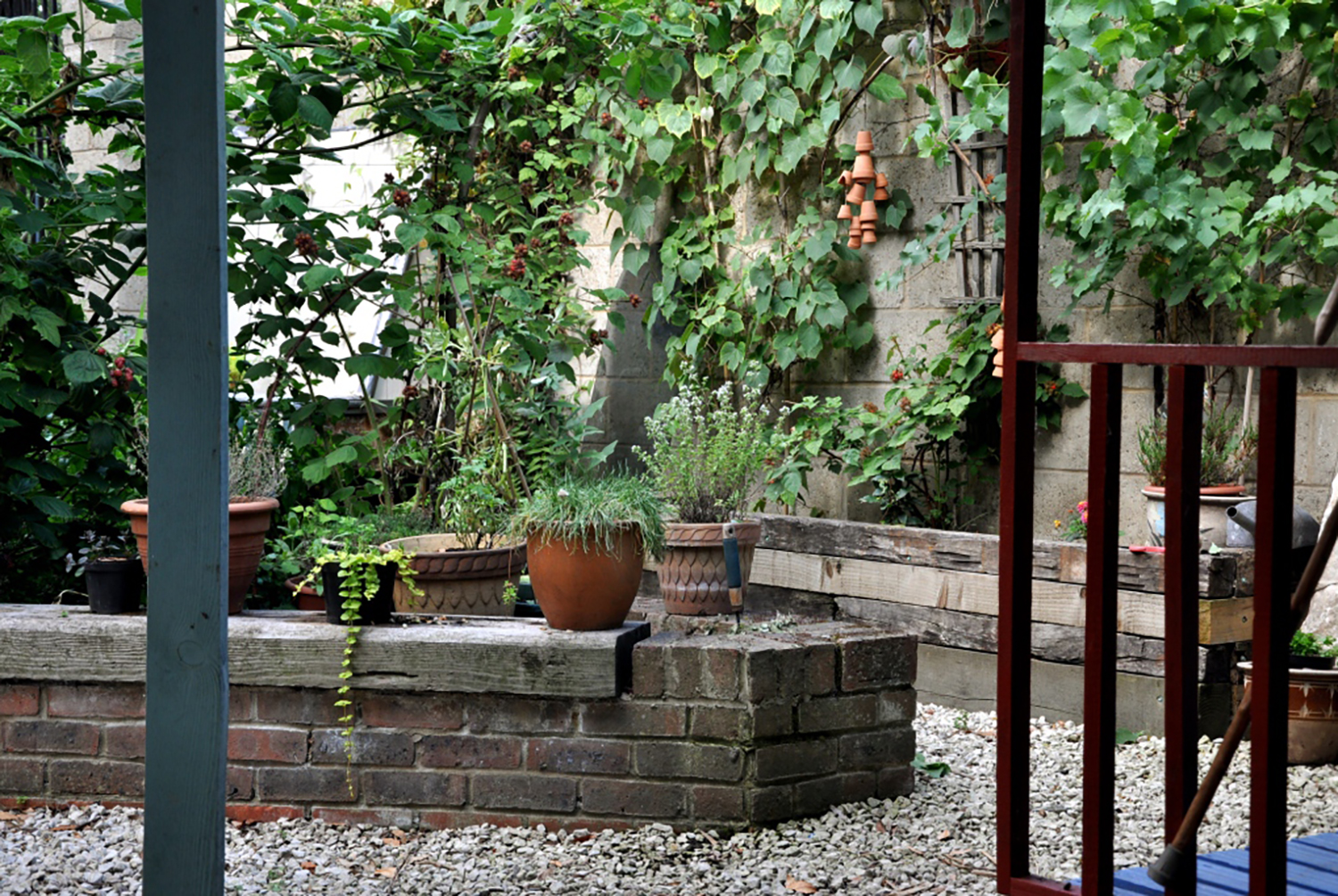 McMillan Herb Garden, Deptford (02)