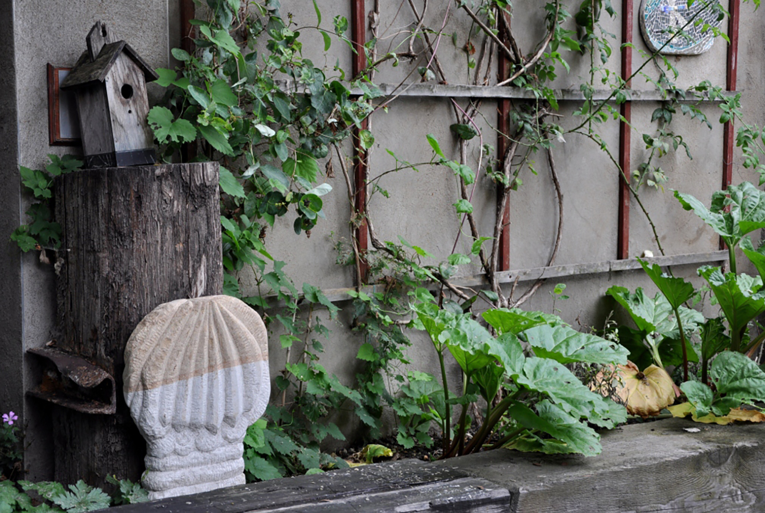 McMillan Herb Garden, Deptford (02a)